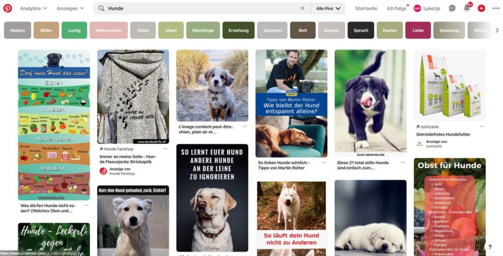 Pinterest ist auch für Blogger sehr interessant.