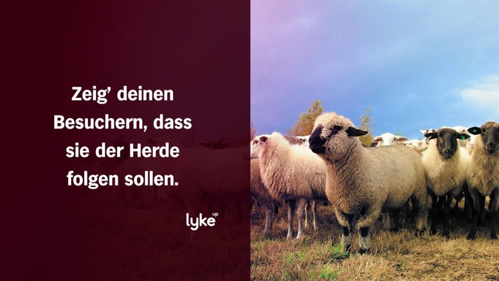 Social Proof auf deiner Selbstbeschreibungsseite