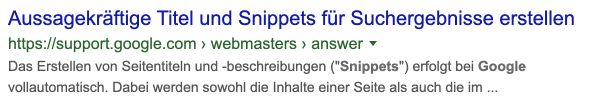 Google Snippet in der Suche